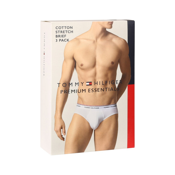 3PACK slip uomo Tommy Hilfiger multicolore (1U87903766 004)