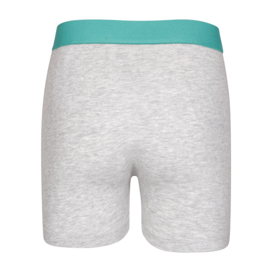 2PACK Puma boxer bambino multicolore (701225791 001)