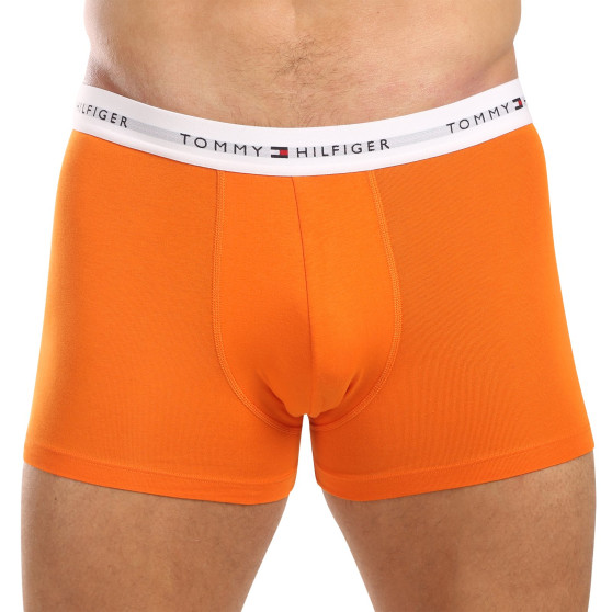 3PACK boxer uomo Tommy Hilfiger multicolore (UM0UM02761 0VH)