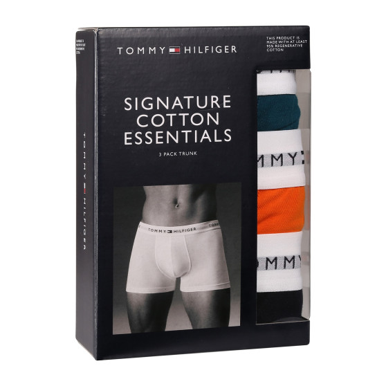 3PACK boxer uomo Tommy Hilfiger multicolore (UM0UM02761 0VH)