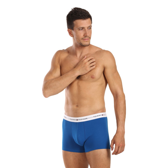 3PACK boxer uomo Tommy Hilfiger multicolore (UM0UM02761 0UE)