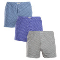 3PACK Boxer da uomo Andrie multicolore (PS 5820)