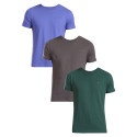 3PACK Tommy Hilfiger t-shirt uomo multicolore (UM0UM03379 0UI)