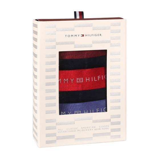 3PACK boxer da uomo Tommy Hilfiger nero (UM0UM03411 0WP)